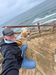 Blue Hawaii Hoodie, Matching Dogo Collar With Bandana & Leash