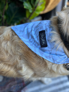 Blue Hawaii Hoodie, Matching Dogo Collar With Bandana & Leash